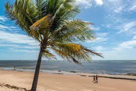 O que fazer em Itacimirim- atividades, passeios e trilhas